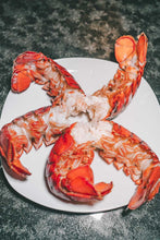 Load image into Gallery viewer, 5-6 oz. Maine Lobster Tails, Cold Water, Hardshell, Raw
